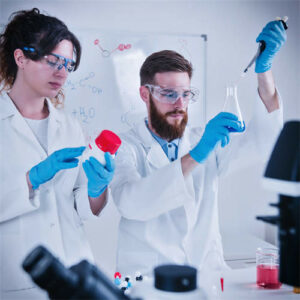 Laboratory team inspecting samples