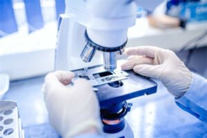 Microscope inspection in a clean laboratory